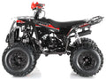 Mini-Quad Dirt Max 125